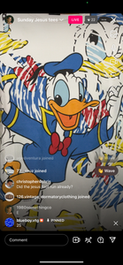 25 Donald Duck aop (secondhand)