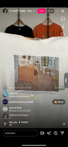 30 van goghs bedroom (secondhand)