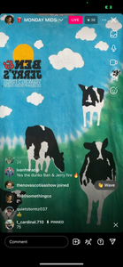 75 ben & jerrys aop (secondhand)