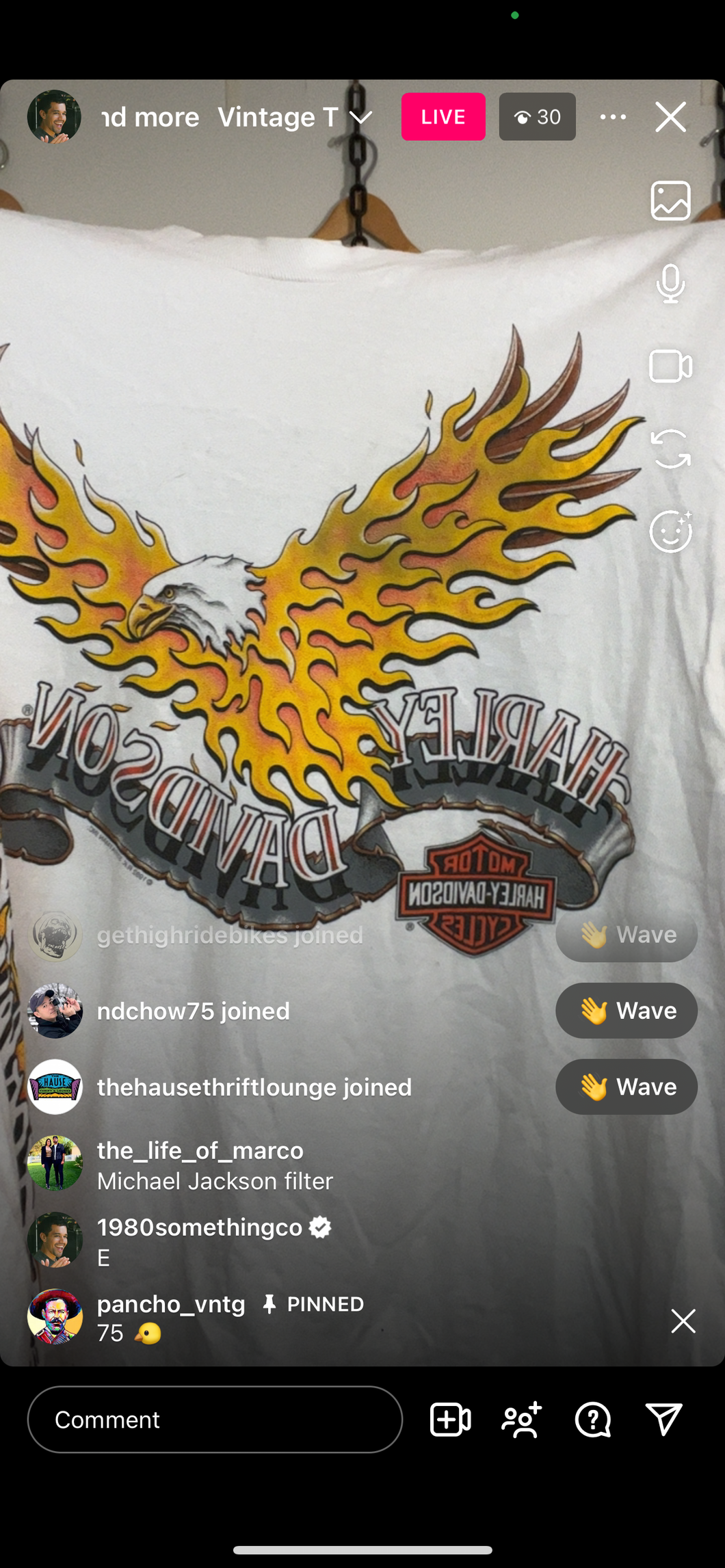 75 harley flaming eagle LS white (secondhand)