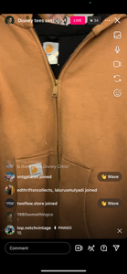 15 carhartt hoodie (secondhand)